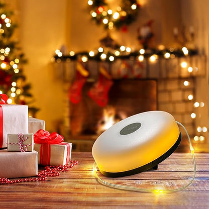 Camping Lights String Christmas: Outdoor String Light with 5 Lighting Modes - Quick 30s Recovery Durable and Waterproof - USB Charging - Portable Camping Lights for Yard/Hiking (32.8ft)