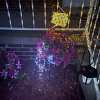 Solar Pathway Lights, Driveway LED
