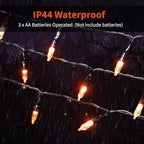 Christmas Backyard String Lights 2-Pack, 50 LED Waterproof