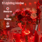 Christmas Fairy Lights 4-Pack, 16ft 50 LED Battery Twinkle Lights