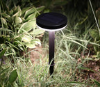 4-Pack Solar Pathway Lights, IP65 Waterproof LED Garden Lights