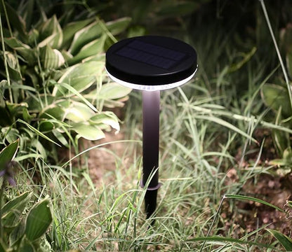 DAWALIGHT Solar Path Lights 4 Pack, IP65 Waterproof Outdoor Pathway Lights 3000K Warm White, Solares Yard Lights for Garden Landscape Walkway Patio Decor