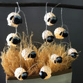 Black Outdoor Edison String Lights, Weatherproof