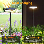 8-Pack Solar Pathway Lights, IP65 Waterproof LED Yard Lights
