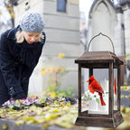 Cardinal Solar Garden Lanterns, Rustic Waterproof LED
