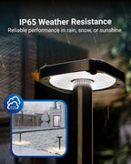 Solar Yard Path Lights 6-Pack, Waterproof