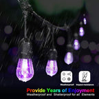Outdoor Globe Café String Lights, 48ft LED Bulbs