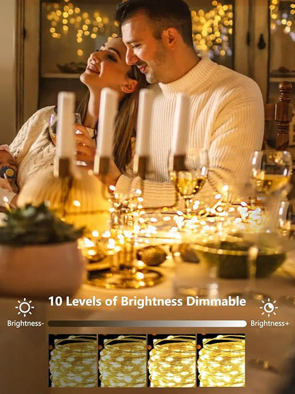 100 LED Fairy Lights Battery Operated with Remote, 33FT Waterproof Twinkle Lights with Timer & 8 Modes, Fairy String Lights Outdoor Indoor for Bedroom Classroom DIY Christmas Decor (Warm White)