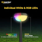6-Pack Warm White Solar Path Lights, Outdoor Driveway LED