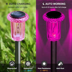 10-Pack Solar Path Lights, Outdoor Garden LED
