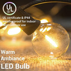 Outdoor String Lights, 50ft Black Waterproof LED