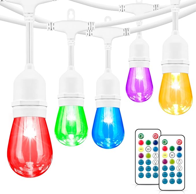 Outdoor Globe Café String Lights, 48ft LED Bulbs