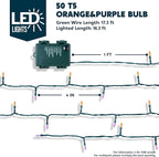 Halloween String Lights, 16.3ft LED Timer