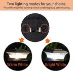Warm White Solar Yard Post Lights, Outdoor LED Caps