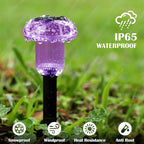 8-Pack Solar Path Lights, Outdoor Garden LED