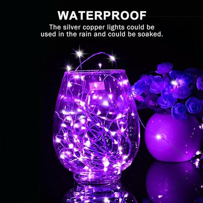 Christmas Porch String Lights 4-Pack, 1ft 50 LED Waterproof