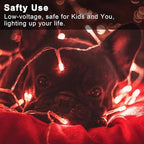 Christmas Fairy Lights, 33ft 100 LED Battery Twinkle Lights