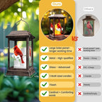 Cardinal Solar Garden Lanterns, Rustic Waterproof LED