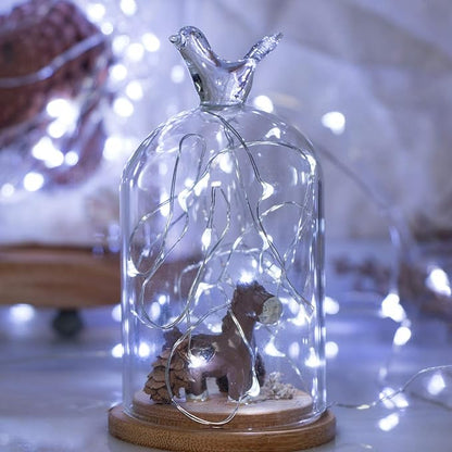 5-Pack Christmas String Lights, 20 LED Waterproof Twinkle Lights