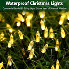 Christmas Fairy Lights 2-Pack, 50 LED Battery Twinkle Lights