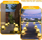 Solar Landscape Lights for Driveway
