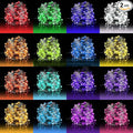 2-Pack Christmas String Lights, 33ft 100 LED Remote & Timer