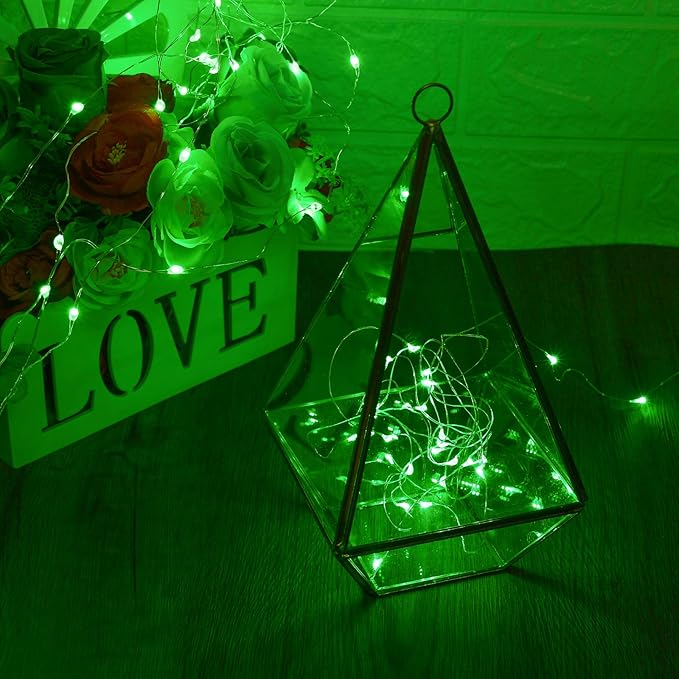 XINKAITE Waterproof LED Fairy String Lights - Starry DIY Decoration for Indoor & Outdoor Parties, Christmas, Holidays (10FT/3Meters, Green)