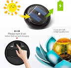 Blue Solar Path Lights, Outdoor Yard LED