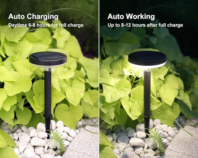 DAWALIGHT Solar Path Lights 4 Pack, IP65 Waterproof Outdoor Pathway Lights 3000K Warm White, Solares Yard Lights for Garden Landscape Walkway Patio Decor