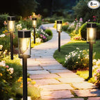 Solar Pathway Lights 8-Pack, Garden LED