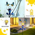 Solar Landscape Lights for Yard