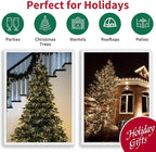 Christmas Twinkle Lights, 21ft Waterproof for Backyard