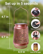 2-Pack Hummingbird Solar Yard Lanterns, Classic Waterproof LED