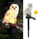 Solar Pathway Lights, Waterproof LED Walkway Lights