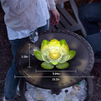 Green Solar Pathway Lights, Walkway LED