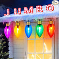 Christmas Pathway String Lights 2-Pack, 22ft C9