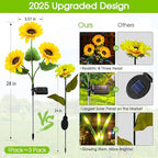Solar Pathway Lights 6-Pack, Yard LED