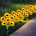 Solar Driveway Path Lights 6-Pack, Waterproof