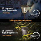 Warm White Solar Pathway Lights 6-Pack, Yard LED