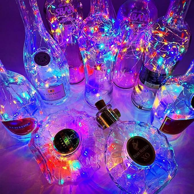 Christmas Yard String Lights 24-Pack, 20 LED Waterproof