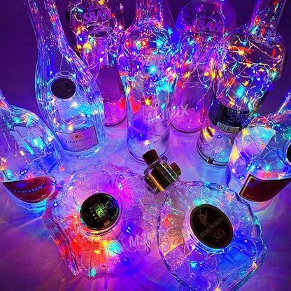 Christmas Yard String Lights 24-Pack, 20 LED Waterproof