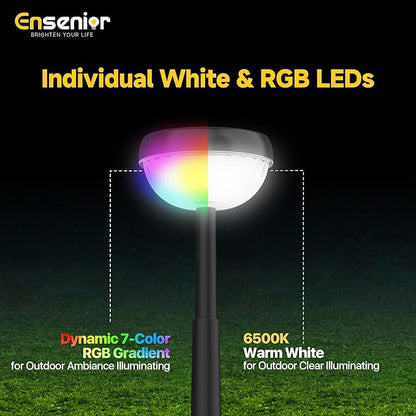 Ensenior Solar Pathway Lights IP65 Waterproof, RGB Color Changing & 6500K Cool White, 8-16Hr Runtime, Flower Pattern Garden Lights for Walkway Porch Yard - 8 Pack