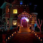 Christmas Pathway String Lights, 19.5ft C9