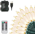 Warm White Christmas Lights, 33ft LED 8-Mode