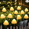 55ft C9 Christmas Walkway Lights, LED