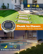 Solar Flat Disk Lights 10-Pack, Waterproof Garden