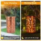 Dragonfly Solar Lanterns, Waterproof LED Porch Lights