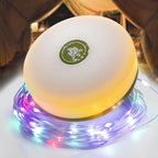Christmas String Lights, 52ft Waterproof Twinkle Lights