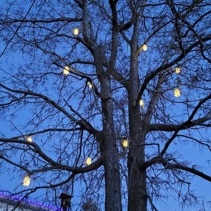 SmilingTown Solar Mason Jar Lights 10 Pack 20 LED Waterproof Outdoor Fairy Firefly String Light Lids with 10 Hangers Rust Resist for Patio Lawn Garden Wedding Lantern Decor No Jars (Warm White)