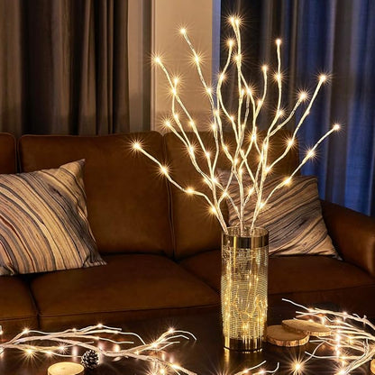 Lit White Birch Twig Branch Lights 30IN 60LT Plug in Lighted Willow Branch for Home Holiday Party Wedding Spring Decoration Indoor and Outdoor Use (Vase Excluded)